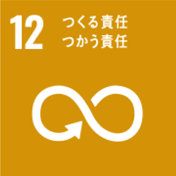 目標12 画像